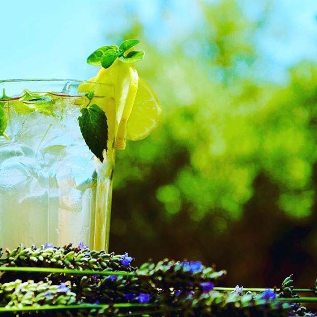 Hotel Village Balatura - Exclusive Veggie Tribalj  Εξωτερικό φωτογραφία
